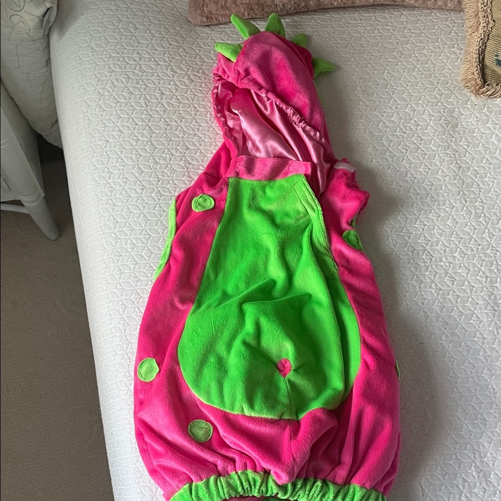 Pink and Green baby Dinosaur Costume